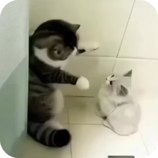 🤗