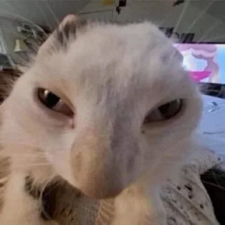 😡