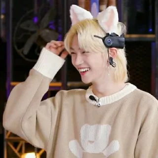 🐱
