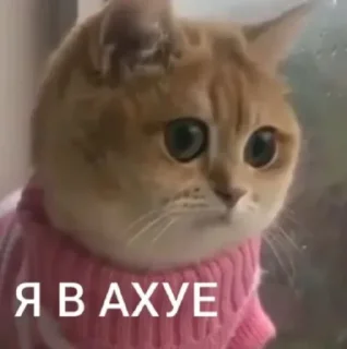 😧