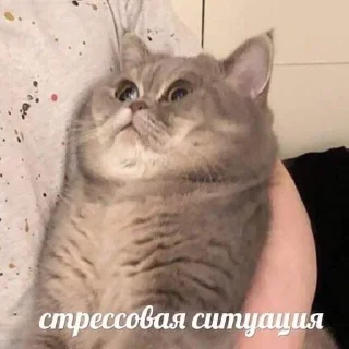 😳