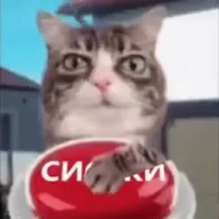 😳