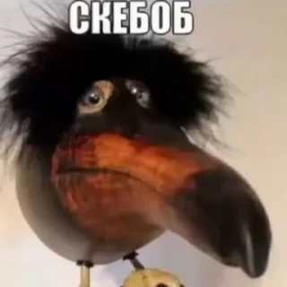 🌍