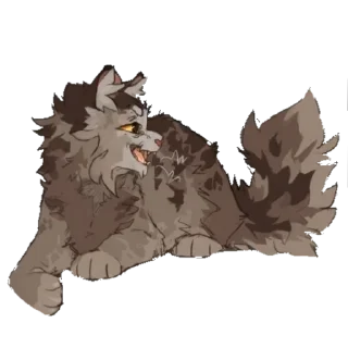 🐱