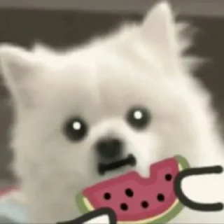 🍉