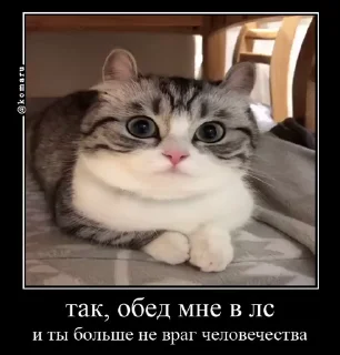 👽
