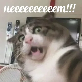 😳