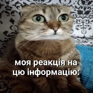 😐