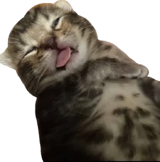 😵