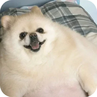 👍