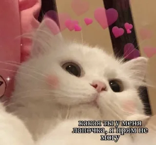 🥰