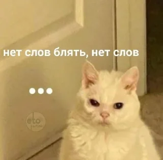 😶