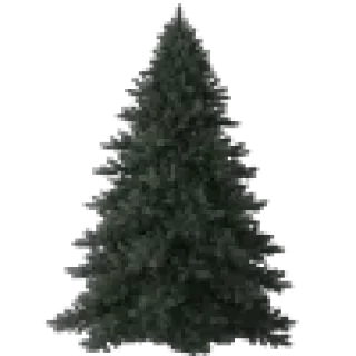🎄