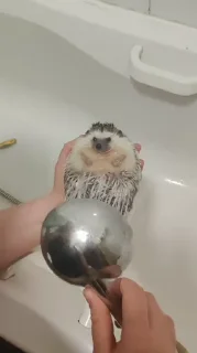 ☺