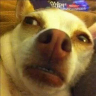 🤨