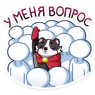 🙋‍♀️