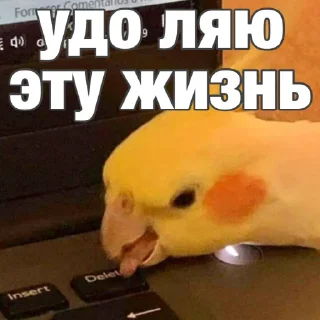 🙄