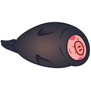 🦭