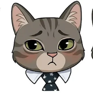 🐱