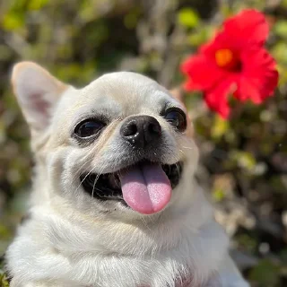 😝