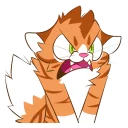 😾