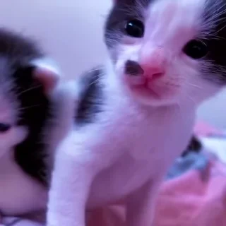 ⭐
