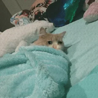 🥺