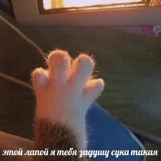 😡