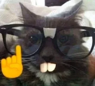 🤓
