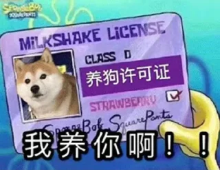 🐶