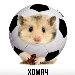 😀
