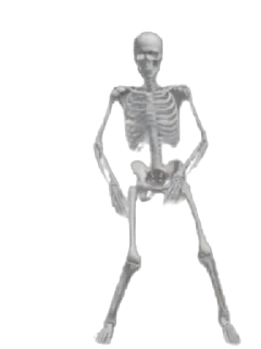 🕺