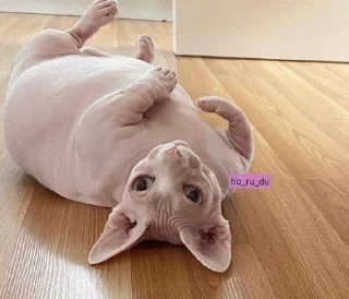 😌