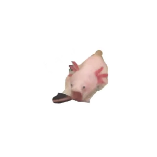🥴