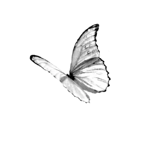 🦋