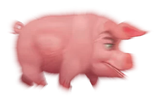 🐖