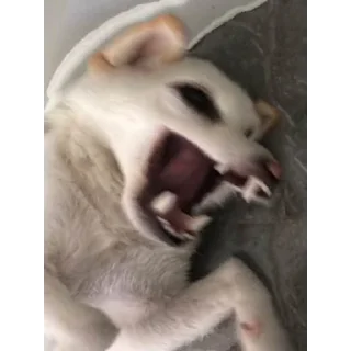 😫