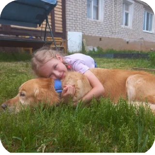 🐶