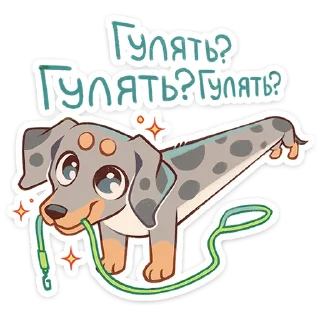 🌟