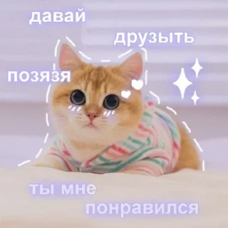 🌚