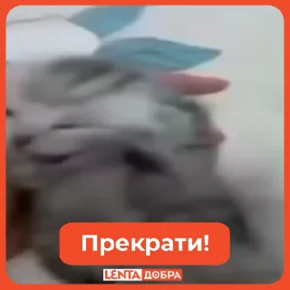 🥴