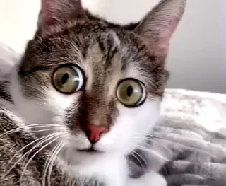 😳