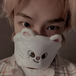 😽