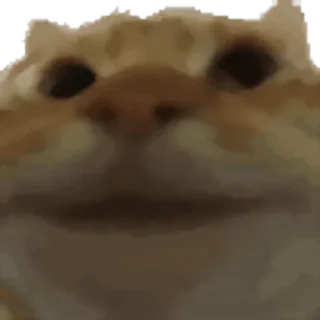 ✅
