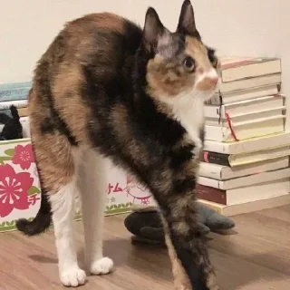 😳