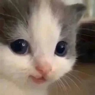 🙂