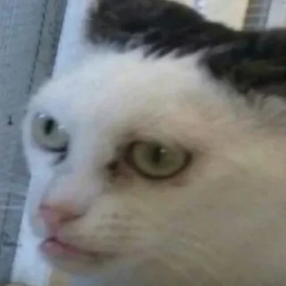 😙