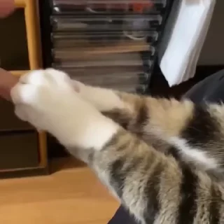 🤝