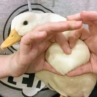 ❤️