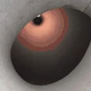 👃